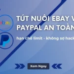 tut-nuoi-ebay-paypal-an-toan